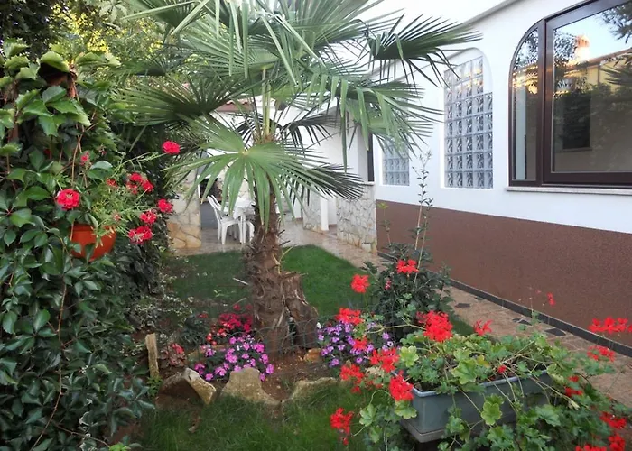 2 App For 3 Persons With 2 Terraces Near Beach&town Appartement *